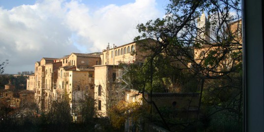 Siena pressi del Duomo