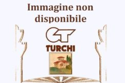 Sovicille Sovicille